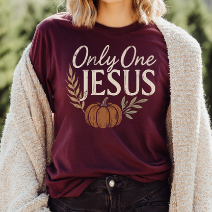 Only One Jesus John 14:6 Unisex Christian T-Shirt