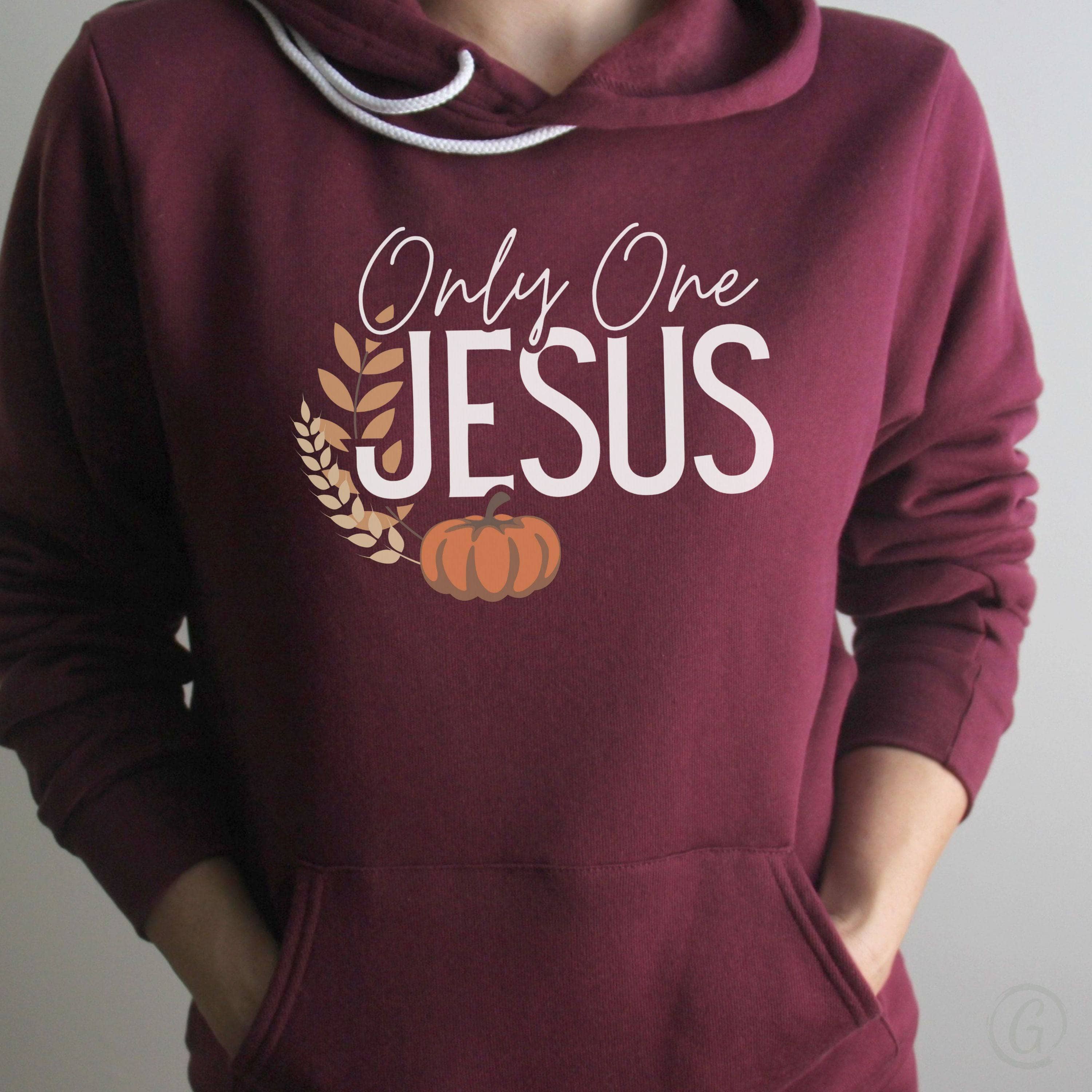 Only One Jesus Premium Unisex Pullover Hoodie Maroon