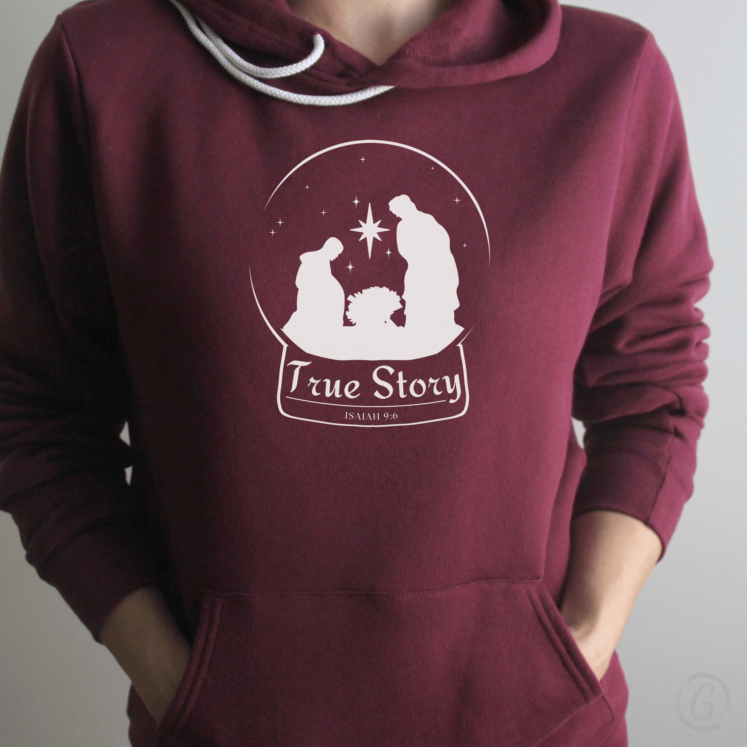 True Story Snow Globe Premium Unisex Pullover Hoodie Maroon